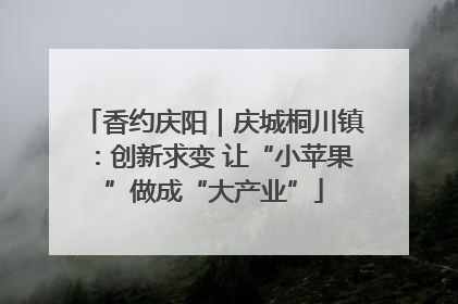 香约庆阳｜庆城桐川镇：创新求变 让“小苹果”做成“大产业”