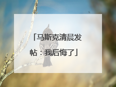 马斯克清晨发帖：我后悔了