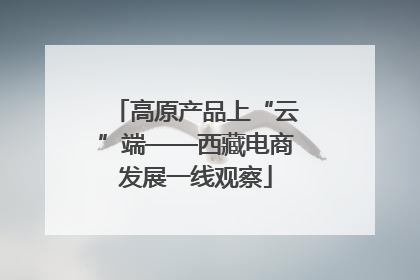 高原产品上“云”端——西藏电商发展一线观察