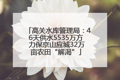 高关水库管理局：46天供水5535万方 力保京山应城32万亩农田“解渴”