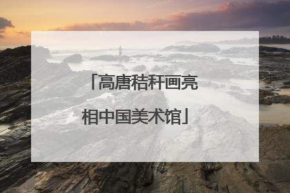 高唐秸秆画亮相中国美术馆