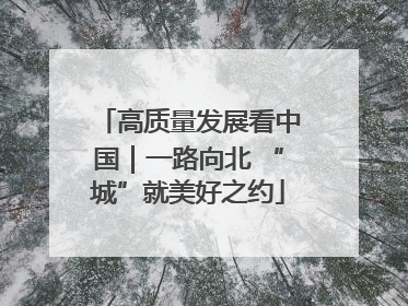 高质量发展看中国｜一路向北 “城”就美好之约