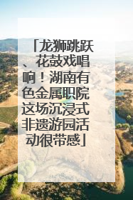 龙狮跳跃、花鼓戏唱响！湖南有色金属职院这场沉浸式非遗游园活动很带感