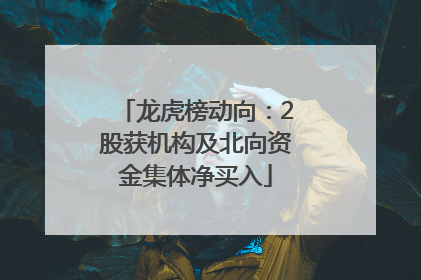 龙虎榜动向：2股获机构及北向资金集体净买入
