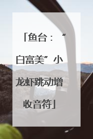 鱼台：“白富美”小龙虾跳动增收音符