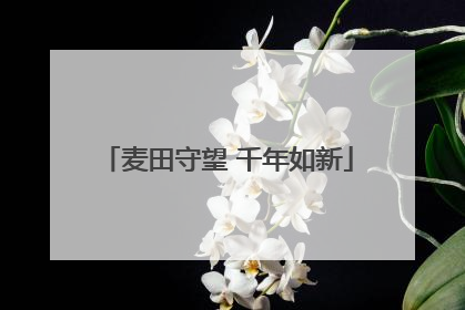 麦田守望 千年如新