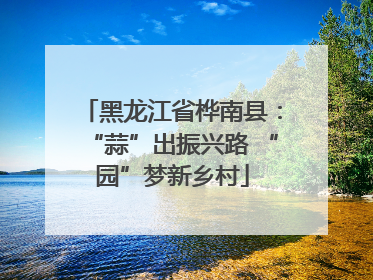 黑龙江省桦南县：“蒜”出振兴路 “园”梦新乡村