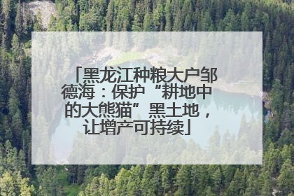 黑龙江种粮大户邹德海：保护“耕地中的大熊猫”黑土地，让增产可持续