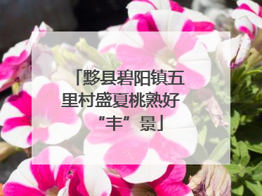 黟县碧阳镇五里村盛夏桃熟好“丰”景