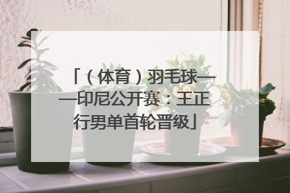 （体育）羽毛球——印尼公开赛：王正行男单首轮晋级