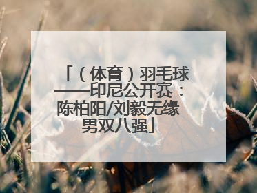 （体育）羽毛球——印尼公开赛：陈柏阳/刘毅无缘男双八强