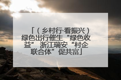 （乡村行·看振兴）绿色出行催生“绿色收益” 浙江瑞安“村企联合体”促共富