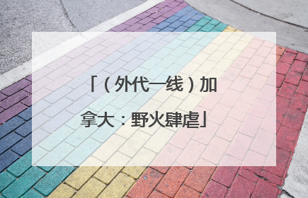 （外代一线）加拿大：野火肆虐