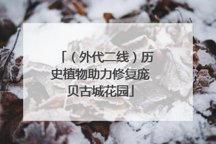 （外代二线）历史植物助力修复庞贝古城花园