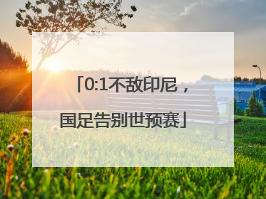 0:1不敌印尼，国足告别世预赛