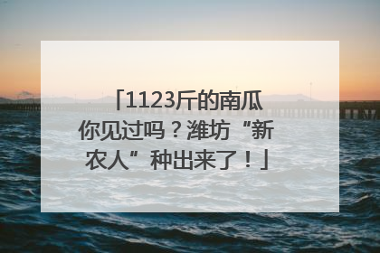 1123斤的南瓜你见过吗？潍坊“新农人”种出来了！
