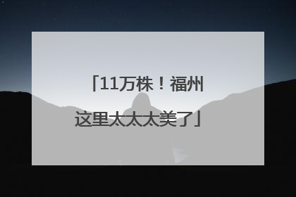 11万株！福州这里太太太美了