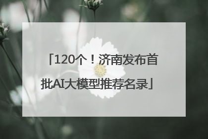 120个！济南发布首批AI大模型推荐名录