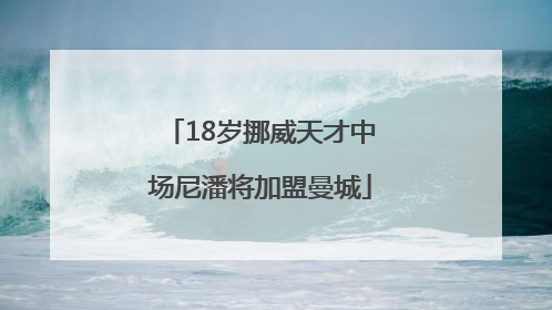18岁挪威天才中场尼潘将加盟曼城