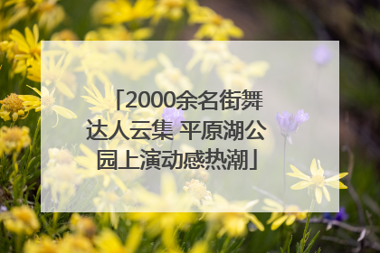 2000余名街舞达人云集 平原湖公园上演动感热潮