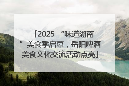 2025 “味道湖南”美食季启幕，岳阳啤酒美食文化交流活动点亮