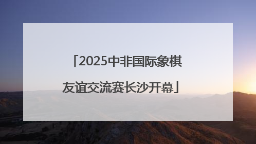2025中非国际象棋友谊交流赛长沙开幕