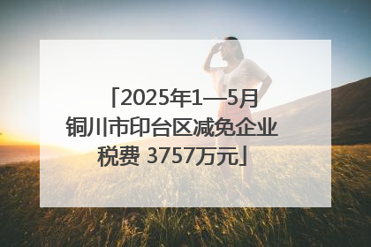 2025年1—5月铜川市印台区减免企业税费 3757万元