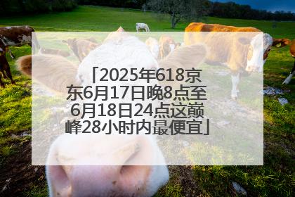 2025年618京东6月17日晚8点至6月18日24点这巅峰28小时内最便宜