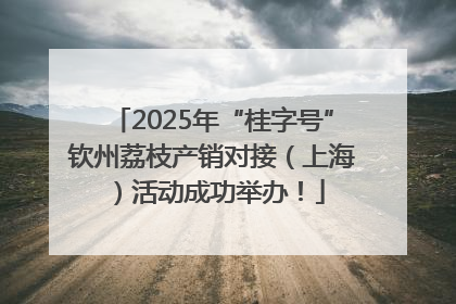 2025年“桂字号”钦州荔枝产销对接（上海）活动成功举办！