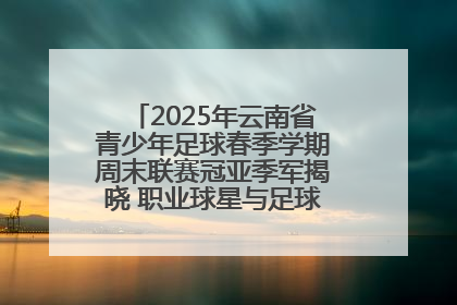 2025年云南省青少年足球春季学期周末联赛冠亚季军揭晓 职业球星与足球小将共享荣耀时刻