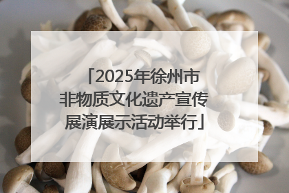 2025年徐州市非物质文化遗产宣传展演展示活动举行