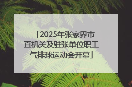 2025年张家界市直机关及驻张单位职工气排球运动会开幕