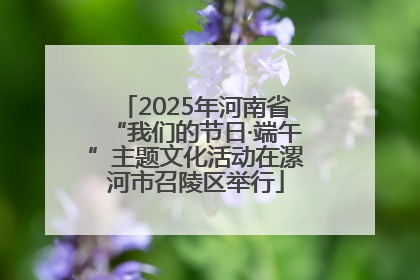 2025年河南省“我们的节日·端午”主题文化活动在漯河市召陵区举行