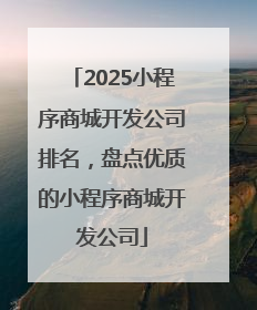 2025小程序商城开发公司排名，盘点优质的小程序商城开发公司