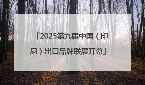 2025第九届中国（印尼）出口品牌联展开幕
