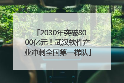 2030年突破8000亿元！武汉软件产业冲刺全国第一梯队