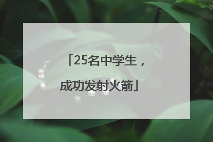 25名中学生，成功发射火箭