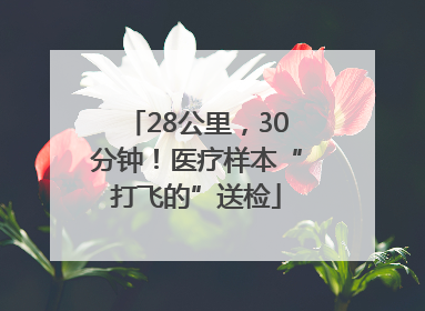 28公里，30分钟！医疗样本“打飞的”送检