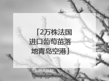 2万株法国进口葡萄苗落地青岛空港
