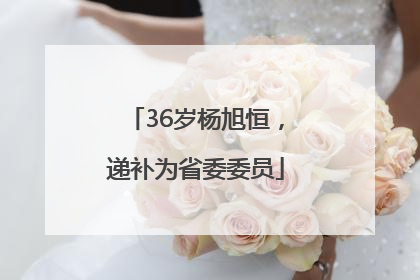 36岁杨旭恒，递补为省委委员