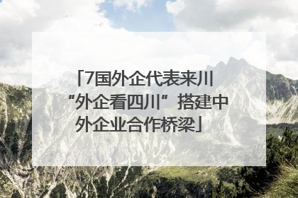 7国外企代表来川 “外企看四川”搭建中外企业合作桥梁