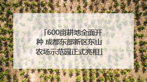 600亩耕地全面开种 成都东部新区东山农场示范园正式亮相
