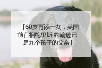 60岁再添一女，英国前首相鲍里斯·约翰逊已是九个孩子的父亲