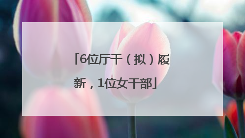 6位厅干（拟）履新，1位女干部
