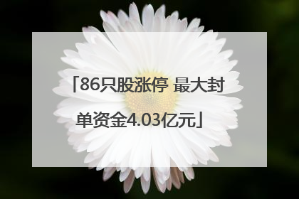 86只股涨停 最大封单资金4.03亿元