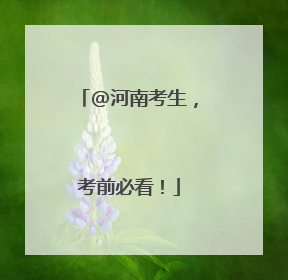 @河南考生，考前必看！