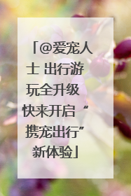 @爱宠人士 出行游玩全升级 快来开启“携宠出行”新体验