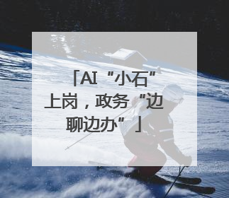 AI“小石”上岗，政务“边聊边办”