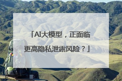 AI大模型，正面临更高隐私泄露风险？