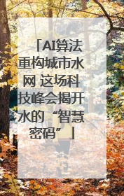 AI算法重构城市水网 这场科技峰会揭开水的“智慧密码”